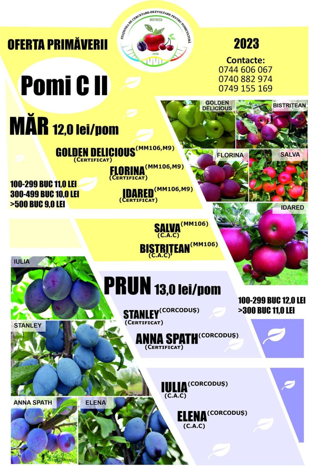 A început sezonul de plantare a pomilor fructiferi Unde găsiți meri și