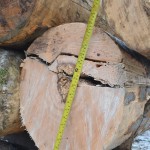 4 lemn masuratori