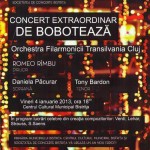 Concert Boboteaza afis