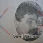 Gavril Tarmure tinerete