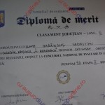 diploma 3