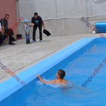 piscina Romuli 8