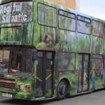 1 regatul salbatic autobuz