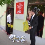 12 sediu psd afise dorin dobra 25 mai