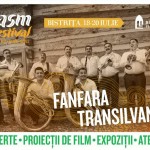 3 fanfara transilvania basm festival