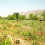 afganistan soimi kandahar