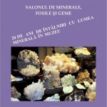 afis salon minerale 2014 muzeu