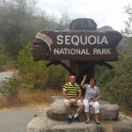 6 dorin popescu sequoia park