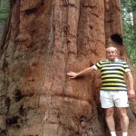 7 dorin popescu sequoia