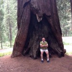 8 dorin popescu sequoia