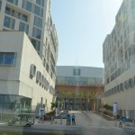 Universitate Abu Dhabi 3