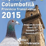 expo porumbei provincia transilvania