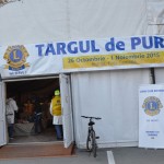 targul de purici 2