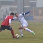 11 fc bistrita vointa livezile