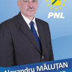 Alexandru Malutan pnl electorala 16