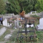 cimitir-gunoi-4