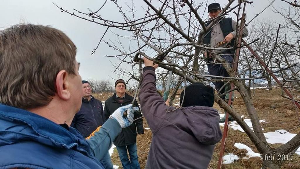 șase Persoane Au Invatat Tehnica Taierilor De Rarire Si